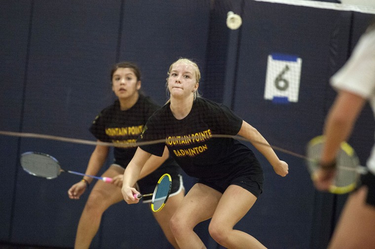 Badminton State Championships